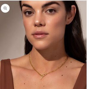 Uncommon James All in OneNecklace- NEVER WORN